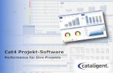 Cat4 Projekt-Software - cataligent.de · Multi-Projektmanagement Projektportale Genehmigungsprozesse, Workflows Projektportfoliooptimierung Produktmanagement Beteiligungscontrolling