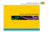 Viren und Gentechnik - helmholtz-muenchen.de€¦ · Die „Entstehung“ der Gentechnik (Meilensteine) ... - Einführung eines Klassifizierungssystems zur Einteilung gentechnischer