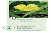 Faltblatt 8 - Biotope - kgv-am-aussenring.de · Wiese – Riedgräser, Wasserdost, Sumpffarn, Blutweiderich, Sumpfiris, Gauklerblume, ... naturnahen Gartens als Biotop schätzen lassen.