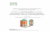 Anorganischer Grundchemikalien: Ammoniak, Säuren … · werden, in dem die Ziele dieses Dokuments sowie die beabsichtigte Verwendung und der ... Salpetersäure- oder Schwefelsäureproduktion