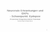 Epilepsie und EKPs - neuro.psychologie.uni-saarland.de€¦ · 1 Neuronale Erkrankungen und EKPs - Schwerpunkt: Epilepsie Proseminar Ereigniskorrelierte Potentiale Carola Zirpel &
