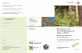 Nadelholz in der Wertschöpfungskette Wald und Holz · Vorsitzender Waldbauernverband NRW e.V. 17:15–17:40 Wirtschaftswald im Klimawandel: Entwicklungen begegnen, Vielfalt entwickeln,