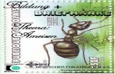 Thema Ameisen wurde bearbeitet von - … 15.5 Ameisen 070808.pdf · Der Name Ameise kommt von Emse / emsig, es wurde also schon früh die Geschäftigkeit dieser Tiere beobachtet.