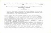 Poaceae type specimen ofs Herbarium Carpato-Pannonicum …publication.nhmus.hu/pdf/Studia/StudiaBotHung_1983_Vol_16_99.pdf · STUDIA BOTANIC HUNGARICA A (Antea: Fragment Botanicaa