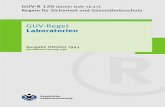 GUV-R 120 'Laboratorien' - uni-ulm.de · GUV-R 120 (bisher GUV 16.17) Regeln für Sicherheit und Gesundheitsschutz GUV-Regel Laboratorien Ausgabe Oktober 1993 Aktualisierte Fassung