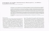 Periodicity of Aradus cinnamomeus (Heteroptera, … 1988 53-58.pdf · Periodicity of Aradus cinnamomeus (Heteroptera, Aradidae) in northern Europe KARI HELIOVAARA & RAUNO VAISANEN