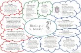 Grundwissen Biologie 5. Klasse - st-stephan.de · Biologie griechisch bios: , Leben ' logos: , Lehre' Biologie ist die Lehre von den Lebewesen. Die Zelle: Die Zelle ist der Grund-