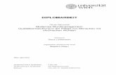 Modernes Wundmanagement: Qualitätsentwicklung in der ...othes.univie.ac.at/10032/1/2010-05-17_9650383.pdf · DIPLOMARBEIT Titel der Diplomarbeit Modernes Wundmanagement: Qualitätsentwicklung