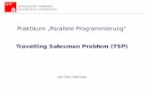 Travelling Salesman Problem (TSP) - uni-hamburg.de · Olesja Aleinikau & Timo Dahlbüdding Praktikum „Parallele Programmierung“ Travelling Salesman Problem (TSP) von Ihar Aleinikau