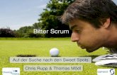 Bitter SCRUM - DialogData Vortrag Chris Rupp... · Bitter Scrum –Auf der Suche nach den Sweet Spots Schluss-folgerung 5 Scrum 2 Intro 1 Scrum in der Projektrealität 4 Projektrealität