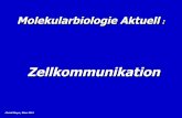 Molekularbiologie Aktuell - christl-meyer-science.netchristl-meyer-science.net/images/PDFs/Zellkommunikation.pdf · •Mikrobiom (Erfassen und Untersuchung der Mikroorganismen des