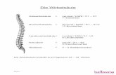 Die Wirbelsäule - bellissima-sillenbuch.de · Die Wirbelsäule Halswirbelsäule = cervical / HWS / C1 – C7 7 Halswirbel Brustwirbelsäule = thoracal / BWS / th1 – th12 12 Brustwirbel