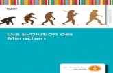 Die Evolution des Menschen - FWUdbbm.fwu.de/fwu-db/presto-image/beihefte/55/011/5501113.pdf · entscheidendes Merkmal des heutigen Menschen: den aufrechten Gang. Vor etwa zwei Millionen