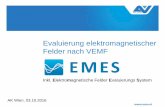 Evaluierung elektromagnetischer Felder nach VEMF · EMF-spezifische Unterweisung beinhaltet Information über Wirkungen und Gefährdungen Erkennen von Symptomen ... Drucker, Scanner,