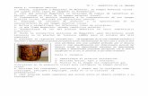 1902196136.TP nro7 - Semiotica de la imagen …ecaths1.s3.amazonaws.com/semioarqueologia/1902196136.TP... · Web viewParte 4: Arte rupestre 1- Defina los aspectos icónicos, indiciales