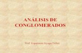 ANÁLISIS DE CONGLOMERADOS - OCW UPMocw.upm.es/estadistica-e-investigacion-operativa/matematicas-y... · CONGLOMERADOS ANÁLISIS MULTIVARIANTE Tiene por objeto agrupar elementos en