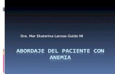 ABORDAJE DEL PACIENTE CON ANEMIA - Clases y … · PPT file · Web view2012-06-28 · Title: ABORDAJE DEL PACIENTE CON ANEMIA Author: Windows XP SP3 Last modified by: Margarita Created