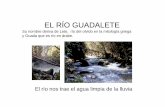EL RÍO GUADALETE - colegiobeatrizdesilva.com · • En esta zona es donde se une el río Majaceite al río Guadalete. Se puede ver desde este puente de hierro. • Bajo el puente