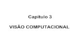 Capítulo 3 VISÃO COMPUTACIONAL - Computação …computacaografica.ic.uff.br/transparenciasvol2cap3.pdf · Computação Gráfica - Vol. 2 - Cap. 3 2 Capítulo 3 3.1. Principais