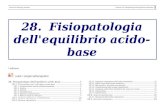 Fisiopatologia dell’equilibrio acido-baseamsacta.unibo.it/3067/86/28_fp_acido_base_I_ed_ebook.pdf · Lezioni di Patologia generale Capitolo 28. Fisiopatologia dell'equilibrio acido-base.