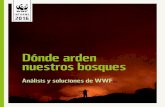Dónde arden nuestros bosques - awsassets.wwf.esawsassets.wwf.es/downloads/dondeardennuestrosbosques2016_1.pdf · En este trabajo WWF analiza el grado de desarrollo de las zonas de