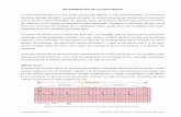 DETERMINACIÓN DE LA FRECUENCIA · 2017-11-21 · ... llamada también frecuencia del pulso, es la frecuencia de las ... Comparar la frecuencia del ritmo en el ECG con la frecuencia