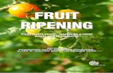 Fruit Ripening - پژوهشکده کشاورزی | Ripening, Physiology... · rahulpmb@gmail.com Susheel Kumar, National Bureau of Plant Genetic Resources ... UMR1083 Sciences pour