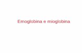 Mioglobina e Emoglobina - sunhope.it e Emoglobina.pdf · 2,3-Bifosfoglicerato Effettore allosterico presente in concentrazioni variabili nella cellula (g. rosso) si lega con alta