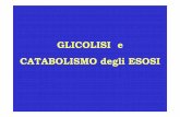 GLICOLISI e CATABOLISMO degli ESOSIermialuthien.altervista.org/PoloCMedicina/Copia_di_glicolisi... · bifosfoglicerato con diminuzione dell’affinit ...