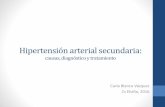 Hipertensión arterial secundaria - 1aria.com³n HTA secundaria.pdf · Hipertensión arterial secundaria: causas, diagnóstico y tratamiento Carla Blanco Vázquez Cs Elviña, 2016