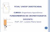 FCVA/ UNESP JABOTICABAL CURSO: Engenharia … · superfície planar. Cromatografia em coluna Cromatografia planar: - cromatografia em papel (CP); - cromatografia em camada delgada