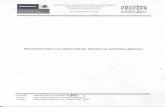 · Informe de auditoria ambiental impreso, en formato vertical (1 ejemplar). Plan de Acción, escrito en formato horizontal Plan de Acción Resultante F-SAA-19 …