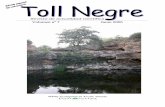 Volumen nº 7 Junio 2006 - ::InterNatura · toll negre 7: 5-8 (vi-2006) adiciones y correcciones a la orquidoflora valenciana, i i1 luis serra*, antoni conca**, núria lara***, joan