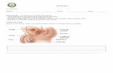 Curso: Fecha - carlosramirezdocente.files.wordpress.com · La placenta humana es la estructura que se forma al interior del útero para aislar la circulación materna de la fetal,