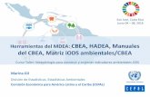 Herramientas del MDEA: CBEA, HADEA, Manuales … · Herramientas del MDEA: CBEA, HADEA, Manuales del CBEA, Matriz iODS ambientales/CBEA ... • El Nivel 2 incluye estadísticas ambientales