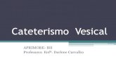Cateterismo Vesical - …files.darlenecarvalho.webnode.com.br/200000051-22d2e23cce... · •Alivio do desconforto da distensão da bexiga, provisão da descompressão ... Cateterização