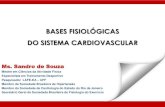 BASES FISIOLÓGICAS DO SISTEMA CARDIOVASCULAR · Sistema Cardiovascular Fisiologia do Sistema Cardiovascular– Distribuição – fluxo e pressão O aumento do turbilhonamento do