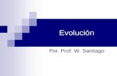 Evolución - sdcb13e4bc23d2e04.jimcontent.com · La Teoría de la Evolución es la explicación para la gran diversidad y aparente relación entre los organismos a partir de las primeras