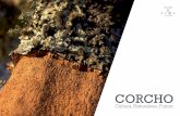 CORCHO - aecork.comaecork.com/wp-content/uploads/2017/11/CORK-Dossier... · El corcho es la corteza que persiste en el árbol. RAMA CON CORCHO El alcornoque tiene raíces profundas