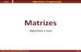 Matrizes - dei.isep.ipp.ptnfreire/MATRIZES - Algoritmia e Java.pdf · RAM notas[0,0] notas[0,1] notas[0,2] ... Matriz é objeto basta transferir referência desse objeto indicar nome
