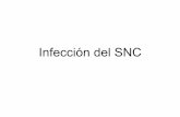 Infección del SNC - formacion.sefh.esformacion.sefh.es/...infecciones-snc/.../infecciosas-infeccion-SNC.pdf · • Comúnmente las bacterias patógenas del SNC de resistentes a la