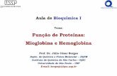 Função de Proteínas: Mioglobina e Hemoglobinagraduacao.iqsc.usp.br/files/Aula08BioqI_FunçãoProteínas.pdf · - Desenvolveram proteínas de transporte de O 2 1 –Mioglobina ...
