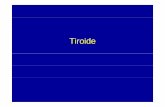 Tiroide.ppt [modalità compatibilità]sermod.altervista.org/downloads/endocrinologia/Tiroide.pdf · Follicolo tiroideoFollicolo tiroideo • Lf i i i l dllti idèl it iLa funzione