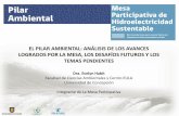 EL PILAR AMBIENTAL: ANÁLISIS DE LOS AVANCES … wordpress/el pilar ambiental.pdf · 2017-06-19 · restricciones que lo condiciones (PLANIFICACIÓN, de cuencas) Presentación al