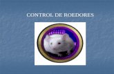 CONTROL DE ROEDORES - uap.edu.pe · RATON DOMESTICO (Mus musculus) RATA NEGRA (Rattus rattus) RATUS COMUN (Rattus norvegicus)