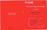 MAPA GEOLOGICO DE ESPANA - info.igme.esinfo.igme.es/cartografiadigital/datos/magna50/memorias/MMagna0767.pdf · ... CABAÑAS LOZA NO, l., Y URALDE ... una serie de fosas tectónicas