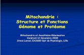 Mitochondrie : Structure et Fonctions Génome et … · de pyruvate. β-oxydation. Cycle de ... Décarboxylation du pyruvate. 2 NADH; 6. Phosphorylation oxydative; Cycle de Krebs.