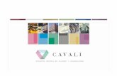 ¿Qué es CAVALI? - bvl.com.pe · Es el Registro Central de Valores y Liquidaciones del Perú ... CAVALI registró una valorización de S/. 117,623.64 millones en activos financieros