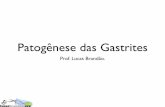 Patogênese das Gastrites - lucas Brandao · Anatomia e Histologia. Apresenta 4 camadas: 1 - Mucosa 2 - Submucosa 3 - Muscular 4 - Serosa Cárdica ... • Para outros não existe