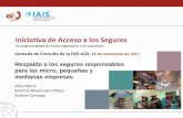 Iniciativa de Acceso a los Seguros - a2ii.org · Asociación Internacional de Supervisores de Seguros (IAIS) Representante de IAIS. 3 Agenda 1. ¿Qué son las MPyME y por qué son